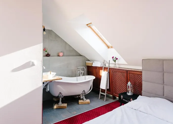 Petra In Historical Palace Bratislava