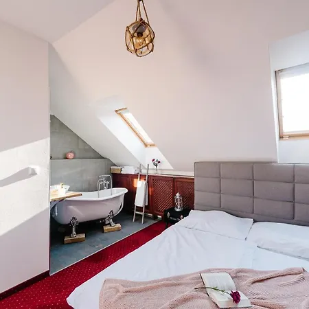 Petra In Historical Palace 호스텔