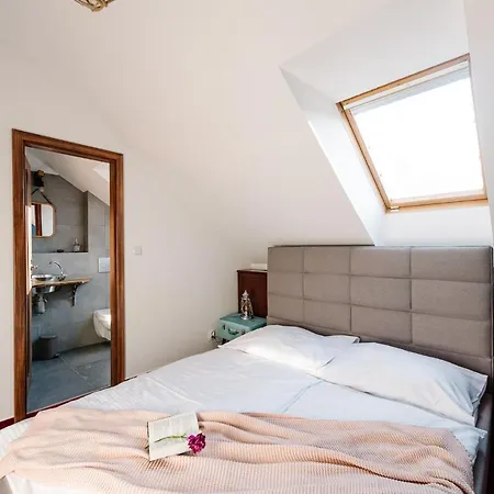 Petra In Historical Palace 호스텔 브라티슬라바